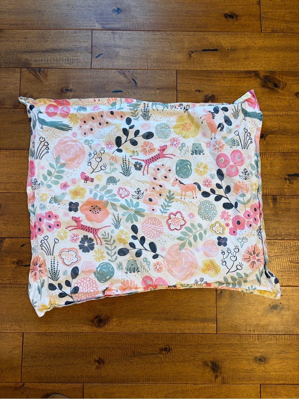Pottery Barn Kids Sasha Garden Standard Sham Pillow Case 100% Organic Cotton EUC